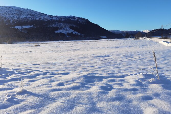 1Day Tour from Bergen to Flåm, Nærøyfjord Cruise & Stegastein - Voss gives the day an active start