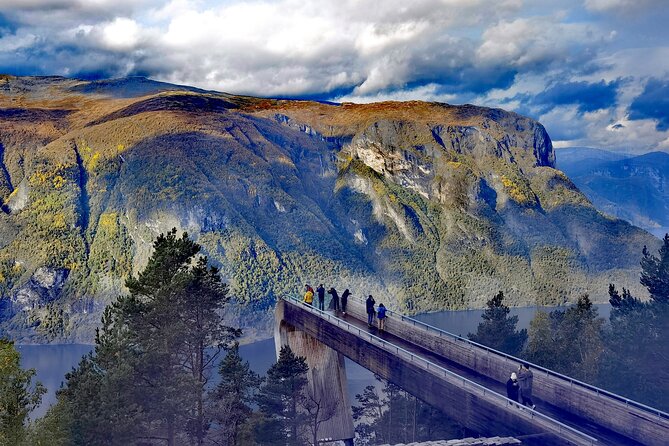 1Day Tour from Bergen to Flåm, Nærøyfjord Cruise & Stegastein - Tvindefossen is a quick waterfall stop