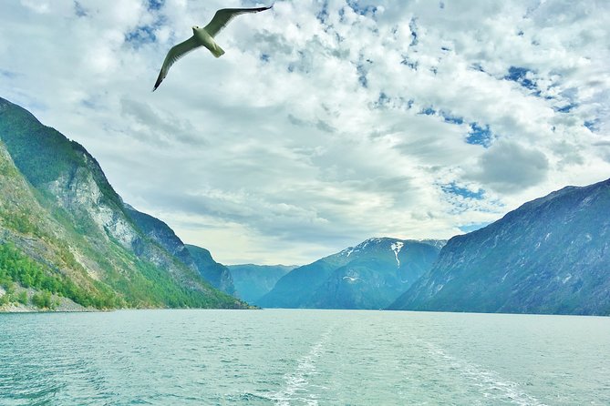 2-Day Round Trip from Bergen: THE GRAND SOGNEFJORD – fjords, waterfalls, glacier - Stegastein, Aurland, and Lærdal: views with medieval detours