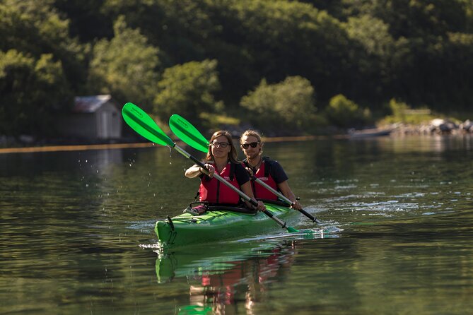 2-Hour Guided Kayak Experience in Geiranger - Seeing Geirangerfjord from the water