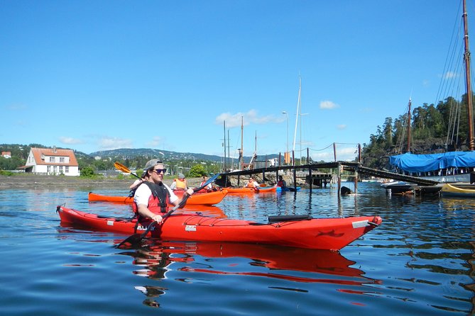2- hour kayak trip on the Oslo Fjord - Who should book this Oslo fjord trip?