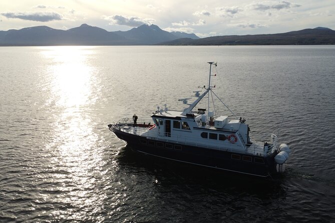 3.5-Hour Arctic Magic with Fjord and Whale Watching Adventure - From Alta’s town center to the harbor
