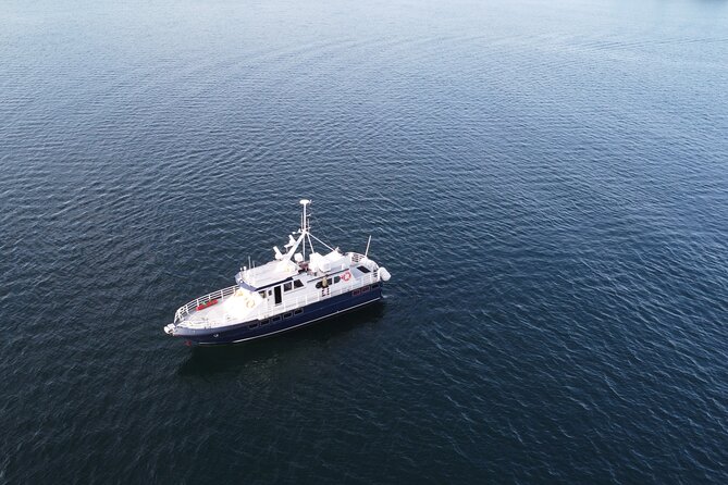 3.5-Hour Arctic Magic with Fjord and Whale Watching Adventure - Why the staff matter on this trip