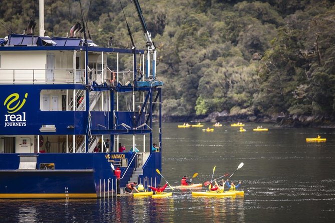 3 Day Doubtful Sound Overnight Cruise and Glowworm Tour from Queenstown - What the small group changes