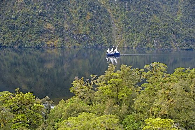 3 Day Doubtful Sound Overnight Cruise and Glowworm Tour from Queenstown - Is $1,315.62 good value?