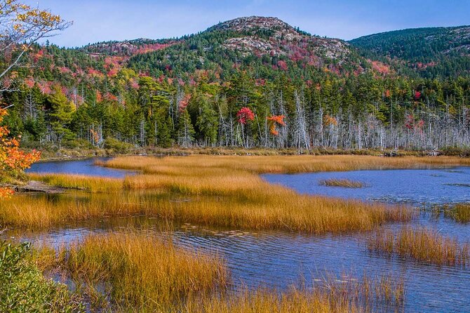3 Hour: Personalized & Private Acadia with Somes Sound - Seal Harbor and a glimpse of island summer life