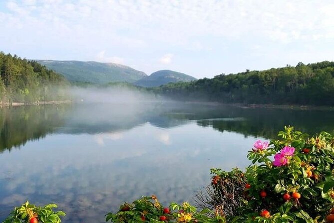 3 Hour: Personalized & Private Acadia with Somes Sound - Asticou Azalea Garden and Northeast Harbor views