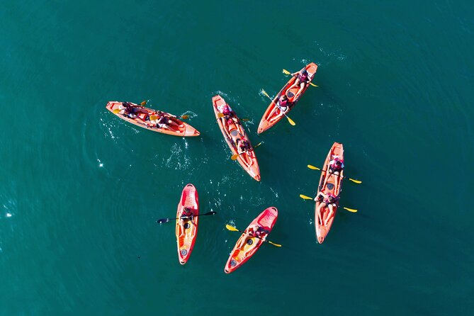 3 Hours Kayaking in Kotor Bay in Montenegro - Key points to know before booking