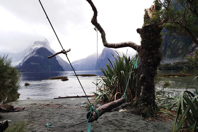 4 Day Tour to Milford Sound, Mount Cook & More from Auckland - Day 4: Lake Tekapo to Christchurch by rail
