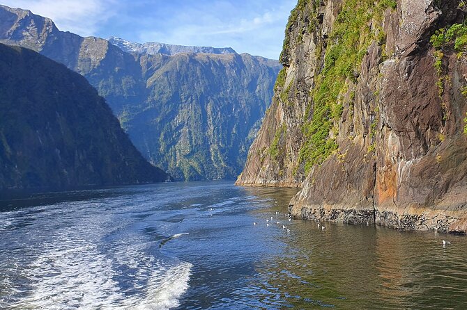 4 Day Tour to Milford Sound, Mount Cook & More from Auckland - Should you book it?