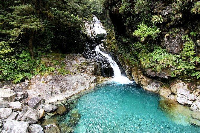 4 Day Tour to Milford Sound, Mount Cook & More from Christchurch - Who should book this South Island trip?