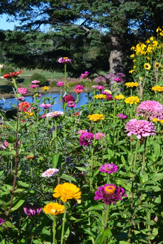 4 Hour Private Tour: Acadia, Fjord, Gardens & Mansions - Why a Private Vehicle Can Be Worth $700