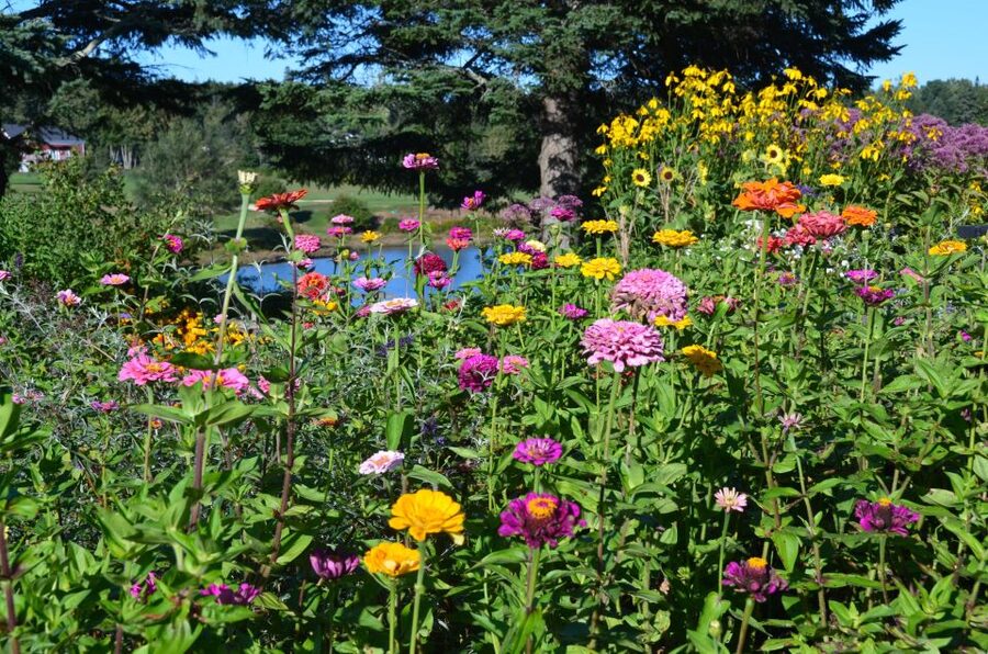 4 Hour Private Tour: Acadia, Fjord, Gardens & Mansions - Local Guides Make the Difference Between Driving and Touring
