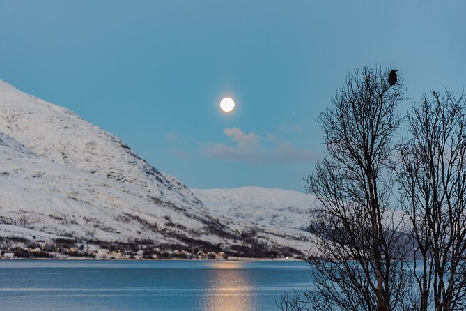 5 Fjords Tour by Minivan in 4 Hours - A compact way to see Tromsø’s fjords
