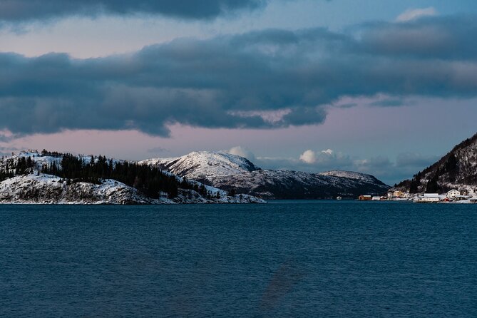 5 Fjords Tour by Minivan in 4 Hours - Alex’s guiding adds more than scenery