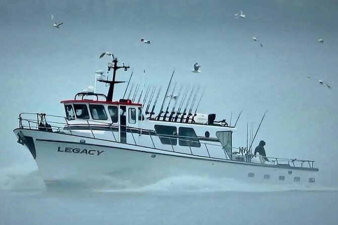 8hr Kenai Fjords Whale Watching Tour w/ 1hr Fishing 16 Passengers - Eight hours for a fuller Seward outing