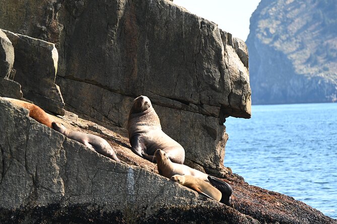 8hr Kenai Fjords Whale Watching Tour w/ 1hr Fishing 16 Passengers - The one-hour fishing session