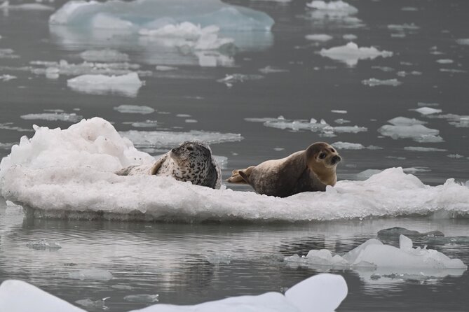 8hr Kenai Fjords Whale Watching Tour w/ 1hr Fishing 16 Passengers - Who will enjoy this trip most