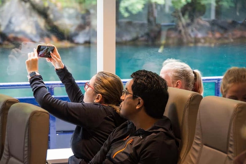 Ålesund: Geirangerfjord Scenic Cruise & Village Visit - Is $225 good value?