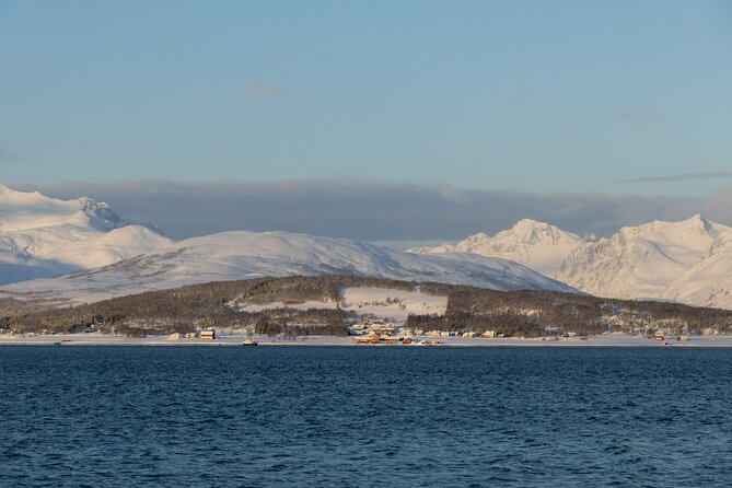 All-Inclusive Arctic Fjords and Sommarøy Scenic Tour - Sommarøy and a Norwegian lunch by the water