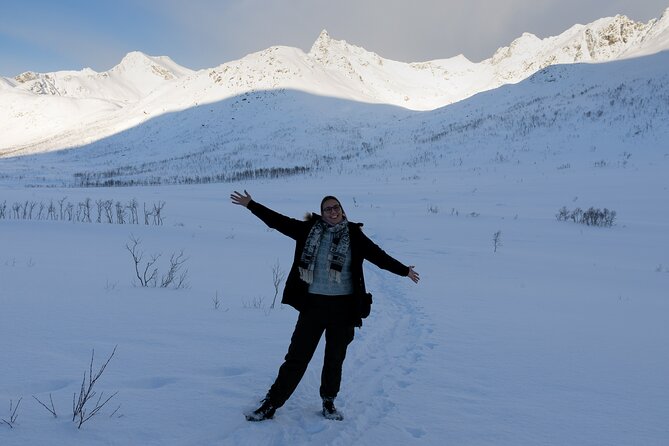 All-Inclusive Arctic Fjords and Sommarøy Scenic Tour - Price, pickup, and what is included