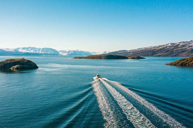 Alta: 2 Hours Guided Adventure Cruise in Alta Fjord - Key points at a glance