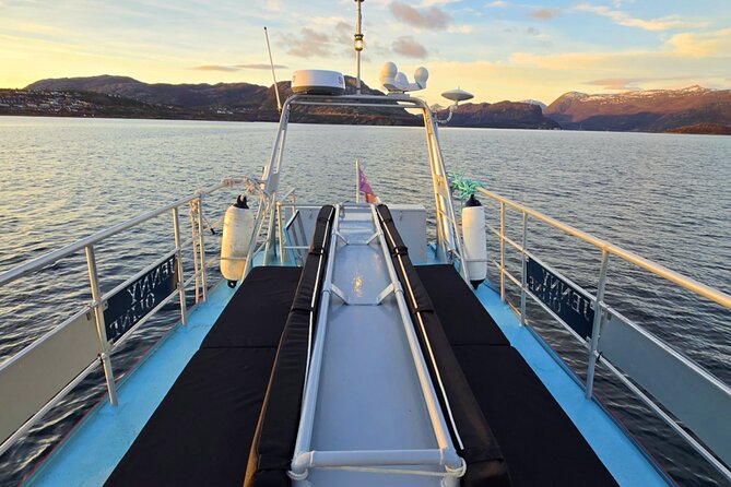 Alta: 2 Hours Guided Adventure Cruise in Alta Fjord - Who will enjoy this cruise most?