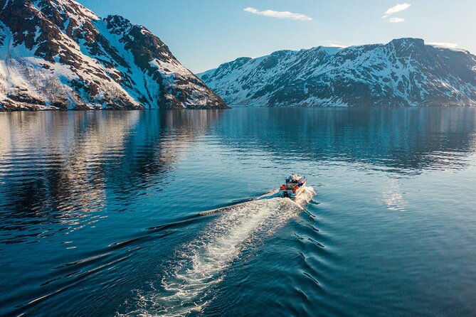 Alta: 2 Hours Guided Adventure Cruise in Alta Fjord - Watching for seals, porpoises, and whales