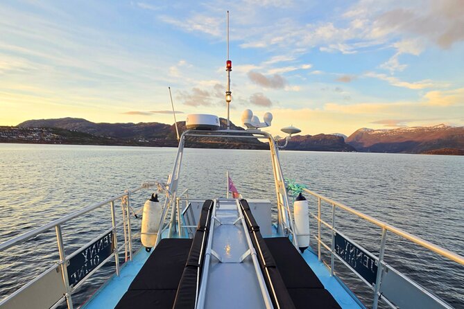 Alta Fjord: Whale Safari Experience - The reward: a close look at killer whales