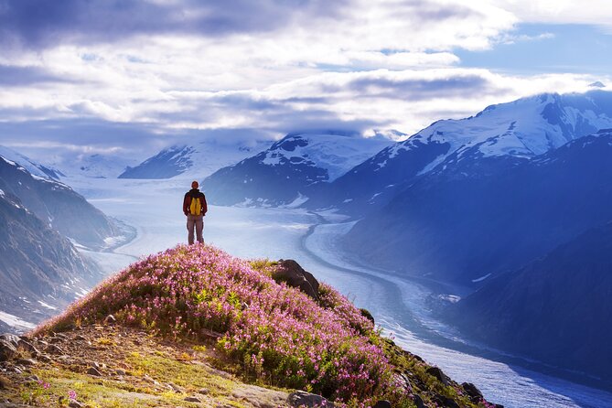 Anchorage: Kenai Fjords & Denali National Park 5 Day 4 Night Tour - Comfort, pace, and guide quality