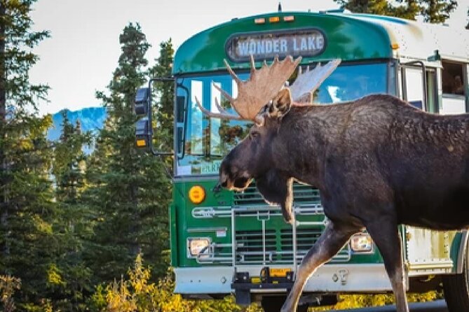 Anchorage: Kenai Fjords & Denali National Park 5 Day 4 Night Tour - Who should book this Alaska tour?