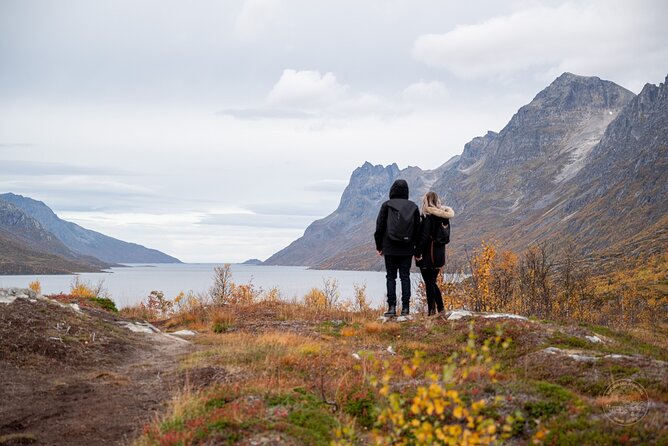 Arctic Fjord Roadtrip with Scenic Picnic from Tromso - Why Kvaløya is the right escape from Tromsø