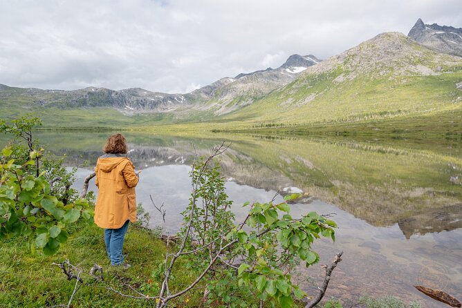 Arctic Fjord Roadtrip with Scenic Picnic from Tromso - The picnic: simple food that does the job