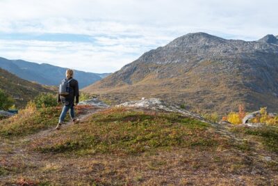 Arctic Fjord Roadtrip with Scenic Picnic from Tromso