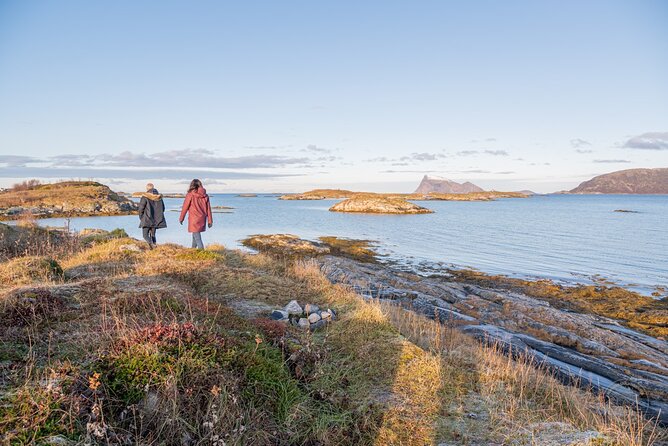 Arctic Fjord Roadtrip with Scenic Picnic from Tromso - Small groups, guides, and the vehicle