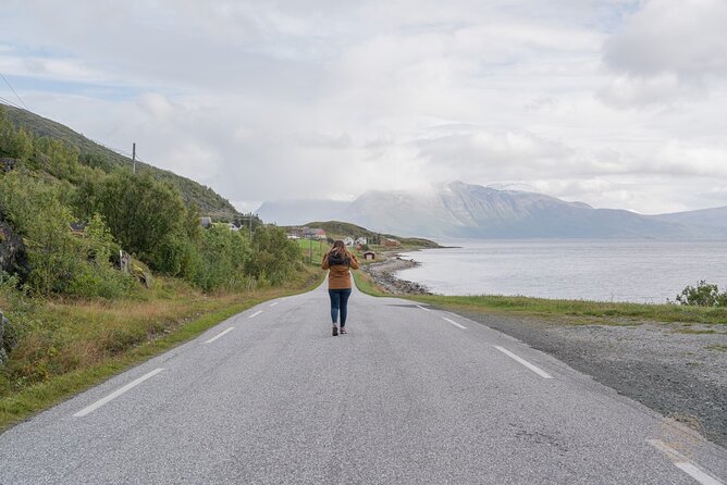 Arctic Fjord Roadtrip with Scenic Picnic from Tromso - Weather is part of the experience