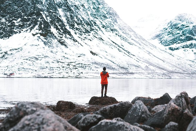 Arctic Fjord Sightseeing by Minibus - Why this minibus trip is a smart way to leave Tromsø