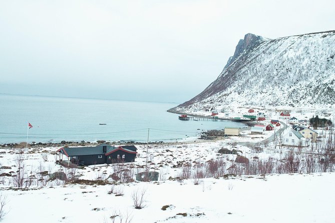 Arctic Fjord Sightseeing by Minibus - Hella adds a touch of ancient Norway