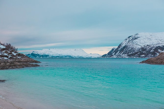 Arctic Fjord Sightseeing by Minibus - Lunch beside the Arctic shore