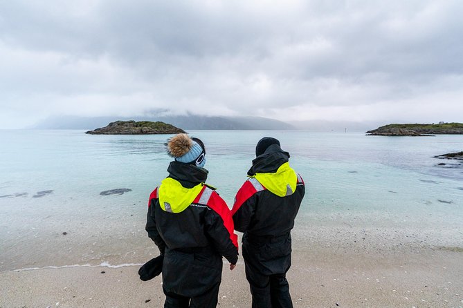 Arctic Fjord Sightseeing by Minibus - The guide can make the difference