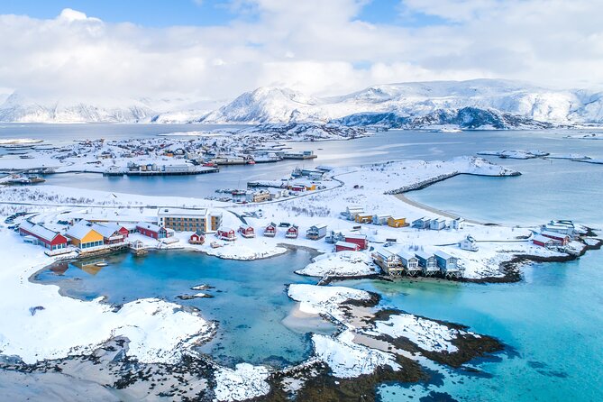 Arctic Fjords and Reindeer Experience – Small group tour - Sommarøy’s beaches and the lunch buffet