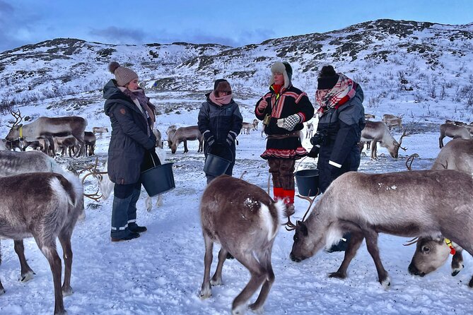 Arctic Fjords and Reindeer Experience – Small group tour - Group size, transport, and the pace of the day