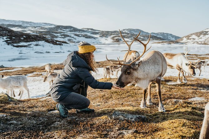 Arctic Fjords and Reindeer Experience – Small group tour - Who should book this experience?