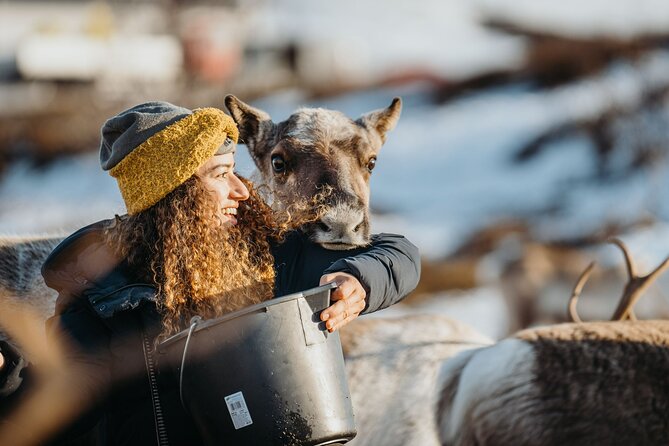 Arctic Fjords and Reindeer Experience – Small group tour - Kvaløya’s coastal road and changing Arctic weather