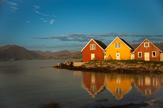 Arctic Fjords Sightseeing Adventure with Arctic Navigator - Key points at a glance
