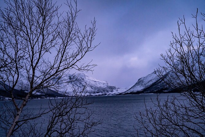 Arctic Fjords Sightseeing Adventure with Arctic Navigator - Why this Tromsø outing works