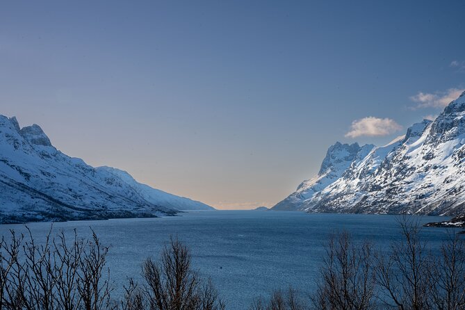 Arctic Fjords Sightseeing Adventure with Arctic Navigator - Ersfjordbotn’s 30-minute viewpoint