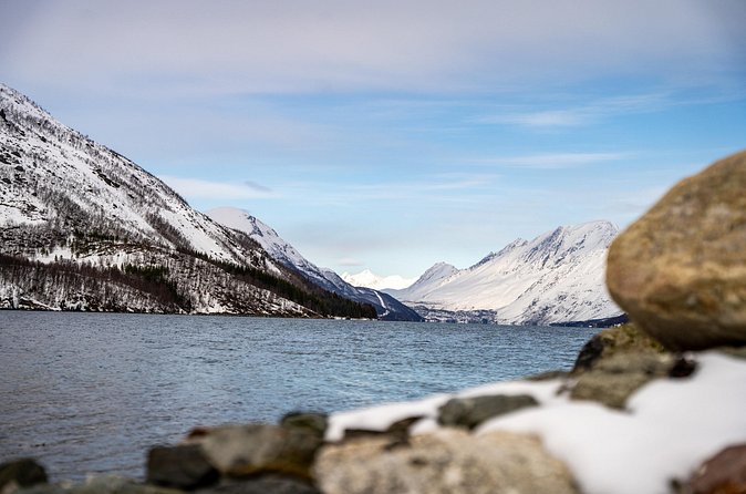 Arctic Fjords Sightseeing Adventure with Arctic Navigator - Who should book this trip
