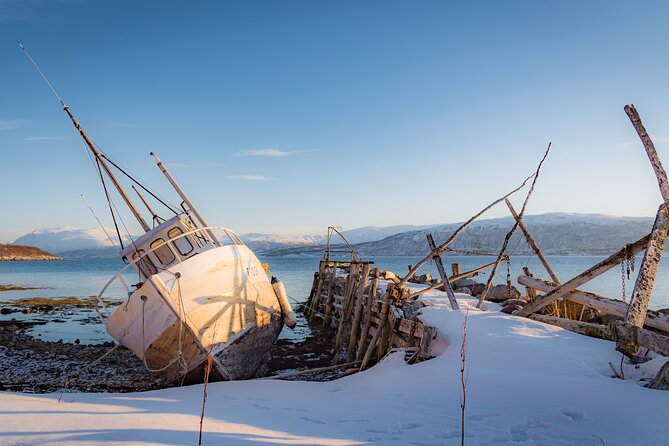 Arctic Wildlife and Fjord Sightseeing - Leaving Tromsø for Kvaløya