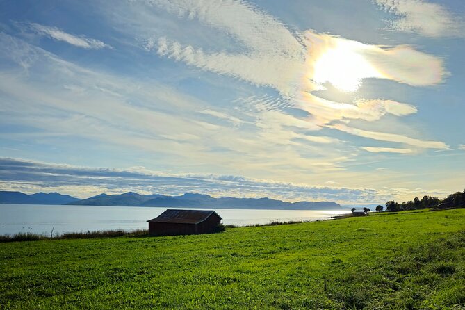 Arctic Wildlife and Fjord Sightseeing - Ersfjordbotn, a village beneath the peaks